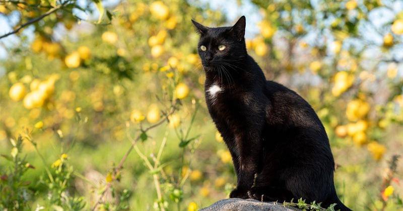 Pixabay/Miller_Eszter